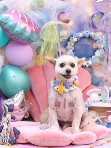 20240817ポンタくん